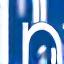 LinkedIn icon